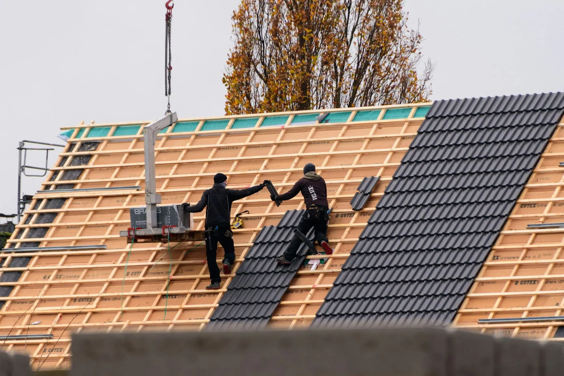 Couvreurs posant des tuiles neuves sur une charpente avec liteaux