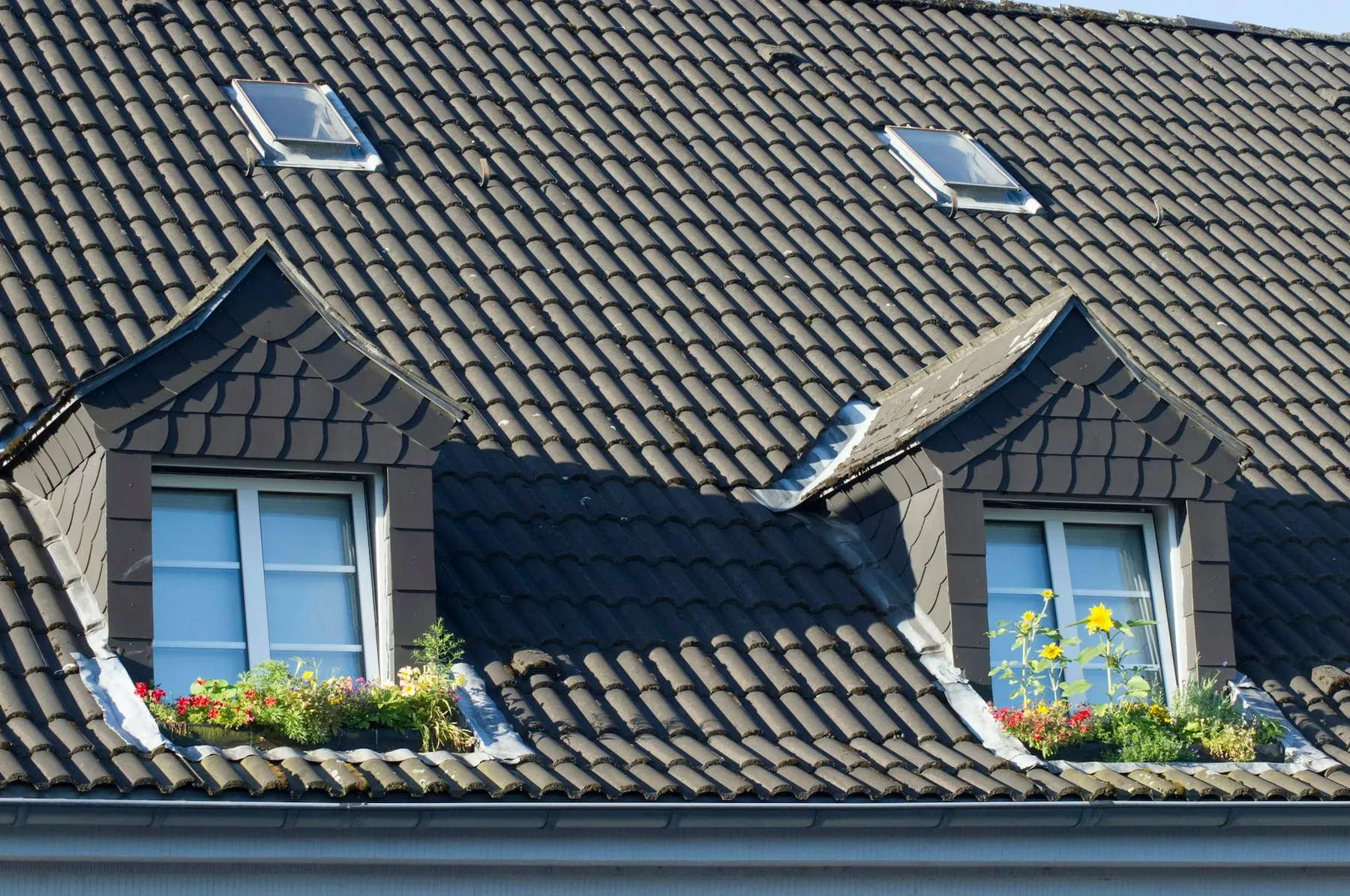 Lucarnes habillées d’ardoises sur une toiture